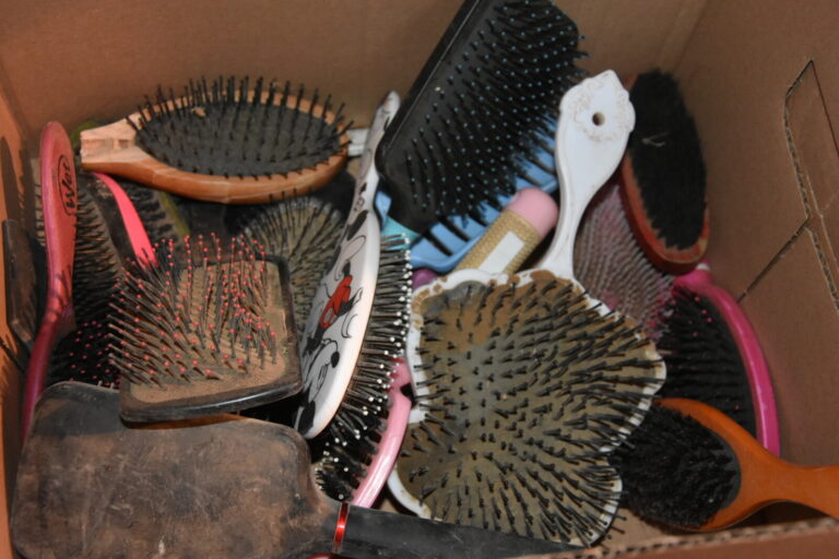 Hair brushes. (Photo: Hadas Yom Tov)