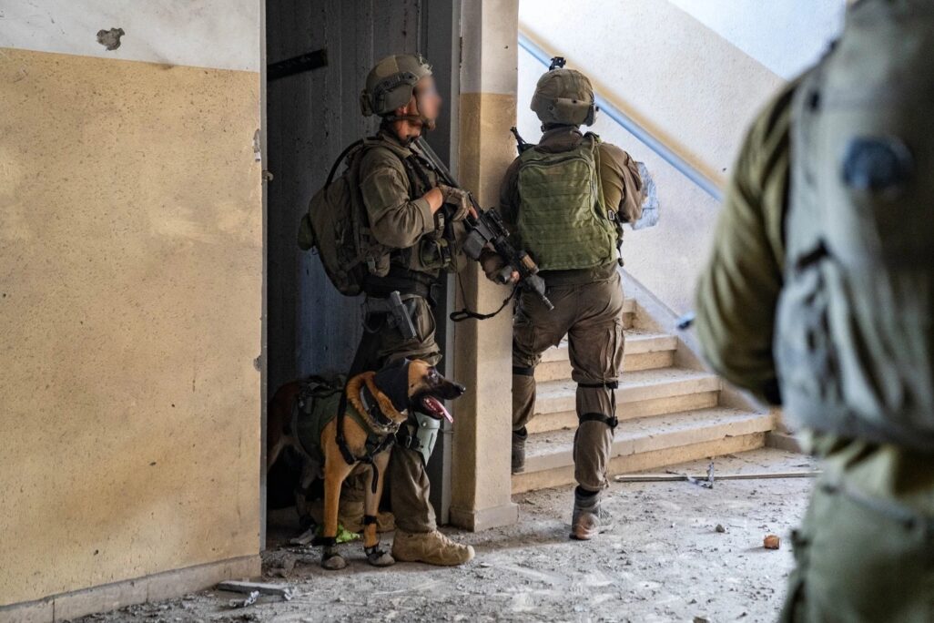 לוחמים וכלב מיחידת עוקץ בפעילות מבצעית בעזה (צילום: דובר צה"ל)