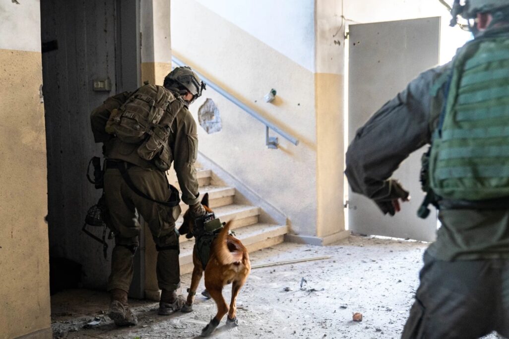 לוחם וכלב מיחידת עוקץ בפעילות מבצעית בעזה (צילום: דובר צה"ל)