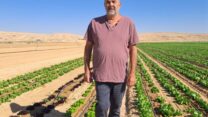 יוחי קופלר, מנהל גידולי השדה בקיבוץ עין השלושה (צילום: אלבום פרטי)