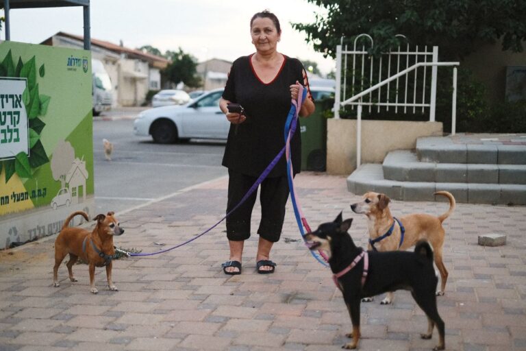 סבטלנה מושאייב עם שלושת כלביה ברחוב. &quot;הבטחתי לעצמי שבסוף המלחמה אכתוב ספר על מה שקרה בעיר הזאת&quot; (צילום: דוד טברסקי)