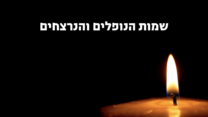 צילום מסך מאתר לזכר החללים והנרצחים