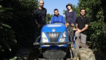 קוטפי האבוקדו השכירים בנירים (מימין לשמאל): אלון לנגסם, ליאור גרינבאום, אופיר כרמי ודור טאוב. "אפשר לסמוך עליהם", אומר בר חפץ, מנהל המטעים בקיבוץ, "השאלה האמיתית היא למה לא עשינו את זה קודם" (צילום: מאיה רונן)