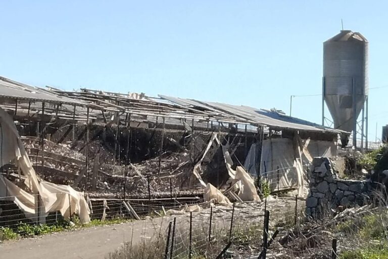לול שנפגע מטיל נ"ט במושב דוב"ב (צילום ארכיון: ארגון מגדלי העופות)