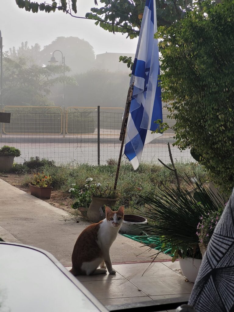 הגינה של מורדוך. "אני לא יכולה להיסגר בתוך דירה" (צילום: אלבום פרטי)