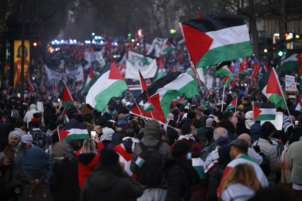 הפגנה פרו פלסטינית בפריז. מפלגות הימין מרוויחות מהתגברות הפחד ממוסלמים (צילום: AP Photo/Thomas Padilla)