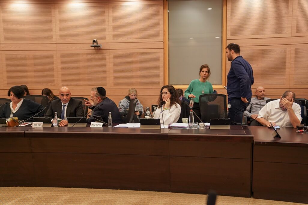 חברת הכנסת נעמה לזימי בדיון ועדת הכספים (צילום: דני שם טוב, דוברות הכנסת)
