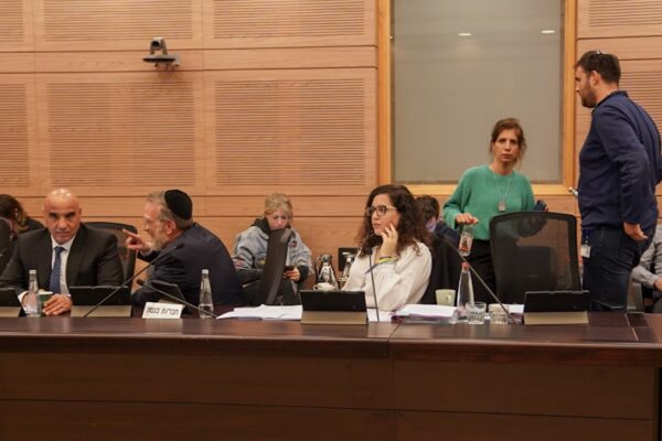 חברת הכנסת נעמה לזימי בדיון ועדת הכספים (צילום: דני שם טוב, דוברות הכנסת)