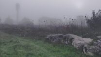 ערפל באזור משגב (צילום ארכיון: צח בר תור)
