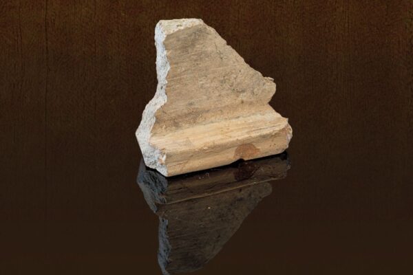 חלק משברי הרעפים שהתגלו בחפירות חניון גבעתי. (צילום: אליהו ינאי, עיר דוד)