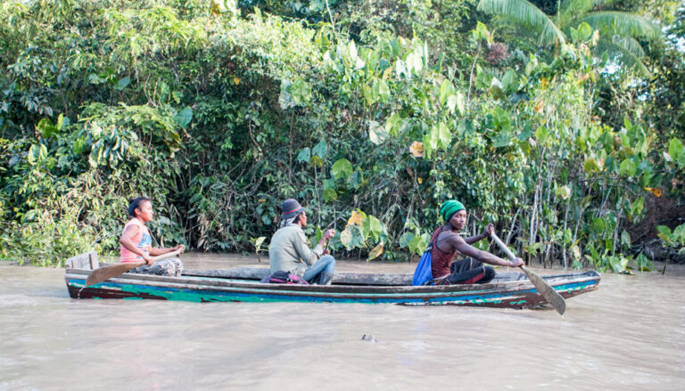 ילידים שטים על נהר הקאמוני בגיאנה. מלחמה עלולה להעלים את השבטים (צילום: Carsten Ten Brink\flickr)