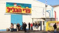 מפעל פרי הגליל בחצור הגלילית (צילום: פלאש90)