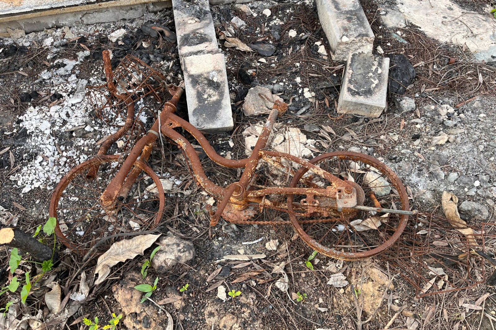 שלד אופני ילדים שרוף (צילום: אורן דגן)