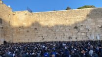 מתפללים ברחבת הכותל המערבי (צילום: יהל פרג')