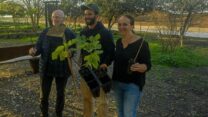 מימין לשמאל: טופז שביט, ירדן צמח וגיורא עוז, בנטיעות בקיבוץ בארי (צילום: דוברות קיבוץ בארי)