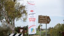 דרום אדום (צילום: יחצ)