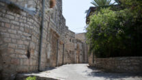 בית החולים הפסיכיאטרי כפר שאול (צילום: נועם מושקוביץ/פלאש90)