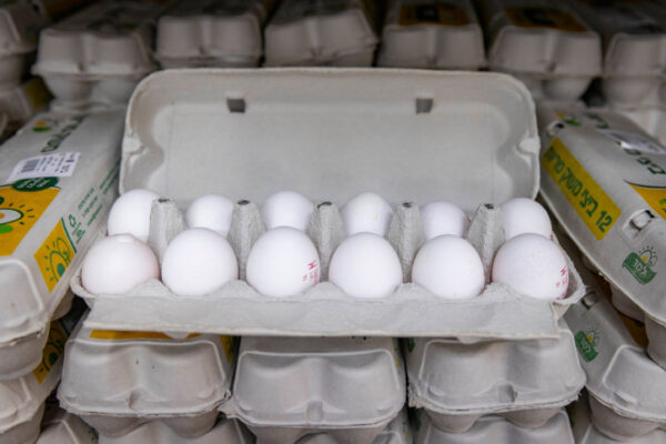 ביצים בסופר (צילום: אוליבייה פיטוסי/פלאש90)
