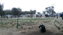 אתר ההנצחה לטבח במסיבת ה'נובה' ברעים (צילום: דבר)