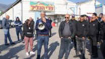 עובדי פרי גליל מפגינים בכניסה לחצור הגלילית יחד עם שמעון סויסה, ראש מועצת חצור הגלילית
וראש מועצת טובא זנגריה, ויסאם עומר (צילום: כדיה לוי)