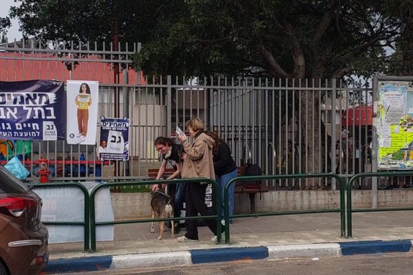 שלטי בחירות בתל אביב (צילום: הדס יום טוב)