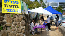 קלפי בטבריה (צילום: דוד טברסקי)