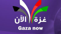 סמל האתר 'עזה עכשיו' (צילום: חשבון הטוויטר של Gaza Now)