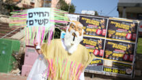 פורים בצפת, 2018 (צילום ארכיון: דוד כהן/פלאש 90)
