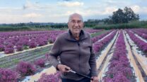 יוסף (יוסל'ה) רגב (תמונה: באדיבות המשפחה)