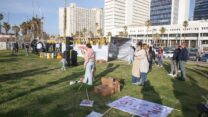 קהילת כפר עזה מקימה סוכה בגן צ'ארלס קלור (צילום: כדיה לוי)