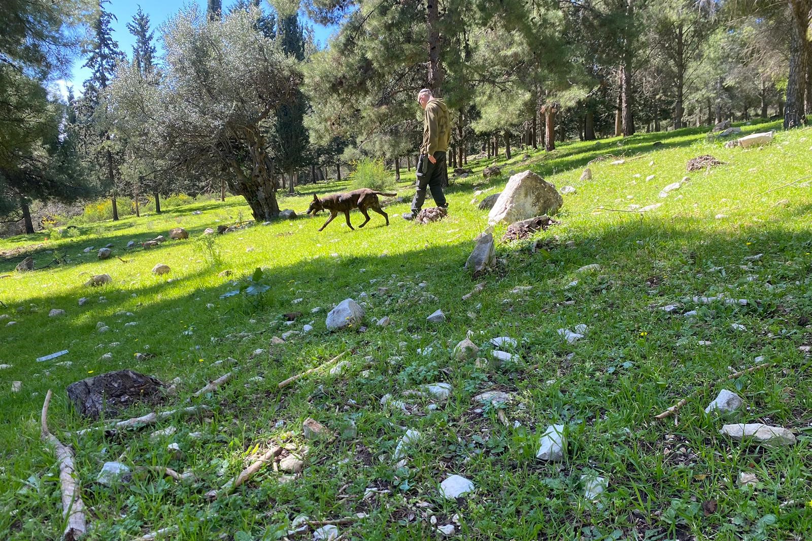 חיפושים אחרי מיינהוט קסאו בסיוע כלבי גישוש (צילום: יהל פרג')