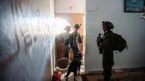 פעילות צה"ל בעזה (צילום: דובר צה"ל)