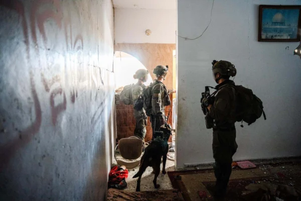 פעילות צה"ל בעזה (צילום: דובר צה"ל)