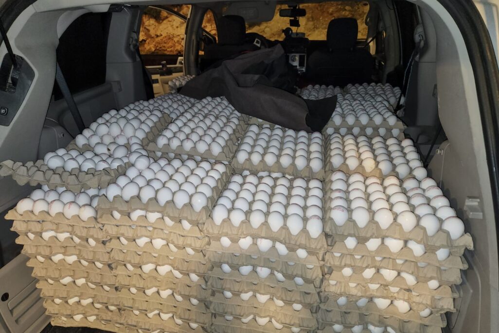חלק מהביצים שנתפסו לפני חג הפסח (צילום: משרד החקלאות)