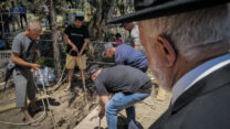 קברה של נעמי פולני בבית העלמין כנרת (צילום: מיכאל גלעדי, פלאש90)