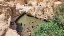 מטיילים מתרחצים בעין ירקעם (צילום: ג'מיל אטרש, רשות הטבע והגנים)