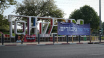 אופקים, נובמבר 2023 (צילום: דוד טברסקי)