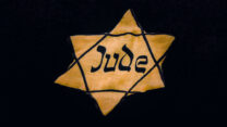 טלאי צהוב (צילום: Pfeiffer / Shutterstock.com)