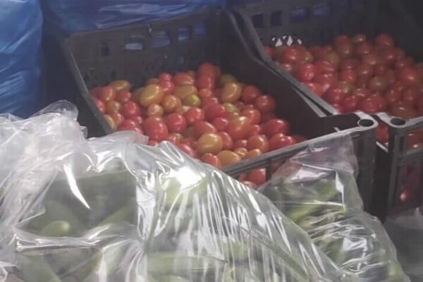 עם תעודות מזויפות: מפקחי משרד החקלאות סיכלו הברחת כ-9 טון ירקות מהרש"פ לישראל