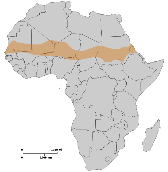 אזור הסאהל מסומן על מפת אפריקה (עיצוב: ויקיפדיה)