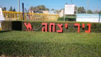ניר יצחק (צילום ארכיון: ניר ודל, ויקיפדיה)