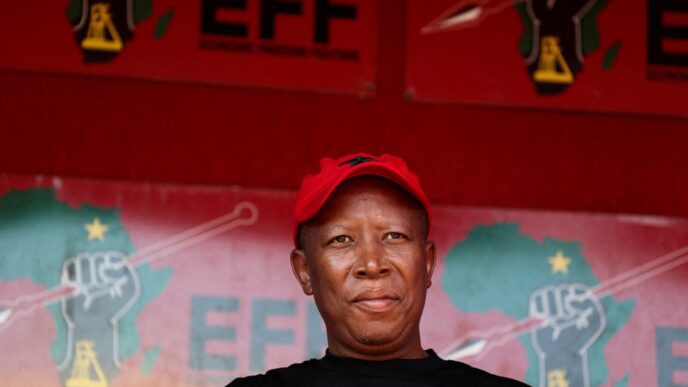 מנהיג מפלגת ה-EFF בדרום אפריקה ג׳וליוס מלמה (צילום: REUTERS/Alet Pretorius)