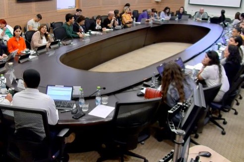 ישיבת ועדת חוקה במעמד משפחות חטופים (צילום מתוך אתר הכנסת)