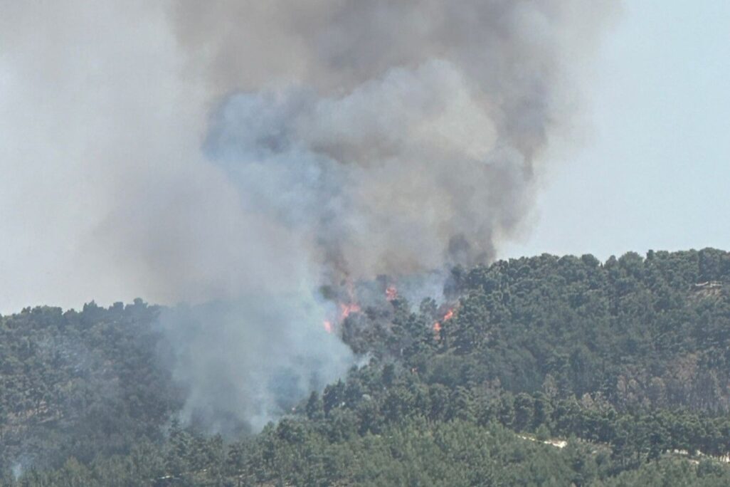שריפה בצפון בעקבות ירי חיזבאללה (צילום: רשתות חברתיות, לפי סעיף 27א' לחוק זכויות יוצרים)
