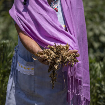 אישה מציגה יבול שאיבדה בשל יובש בגן צף בשלהי מקסיקו סיטי. &quot;המקסיקנים רואים את עצמם, במידה רבה של צדק, כקורבנות של שינויי האקלים&quot; (צילום: Anadolu via Reuters Connect)