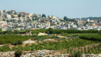 גוש חלב (צילום: משה שי/פלאש90)
