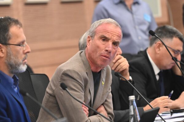 אלעזר שטרן בוועדת חוץ וביטחון (צילום: אור גואטה)