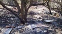כוורות שרופות באזור קדרים בגליל התחתון (צילום: רשתות חברתיות, סעיף 27א' לחוק זכויות יוצרים)