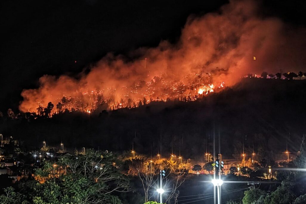 שריפה ביער ביריה (צילום: דוברות עיריית צפת)