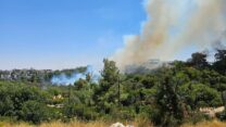 השריפה בעמק המצלבה שהתפשטה למוזיאון ישראל (צילום: כבאות והצלה לישראל)